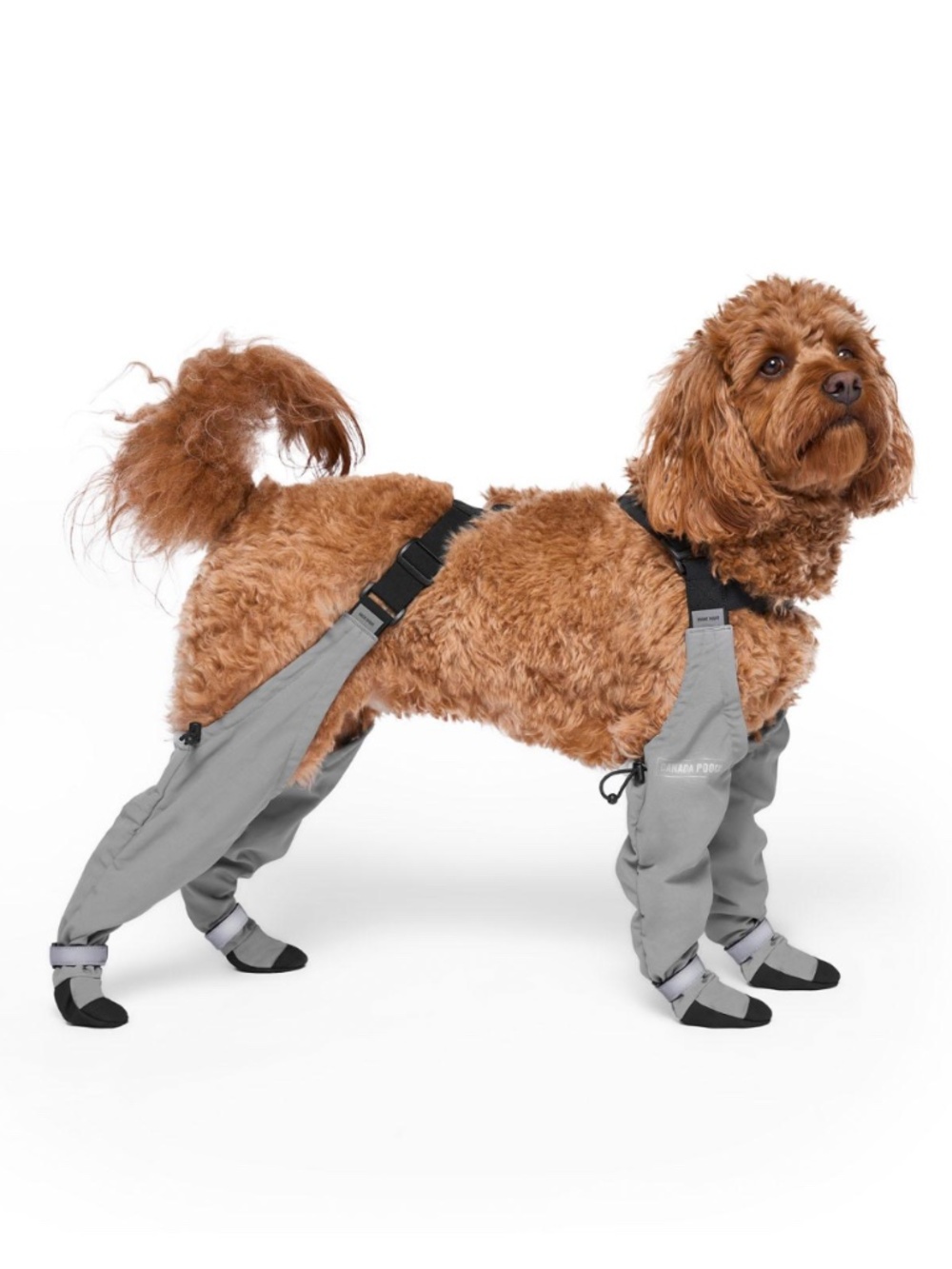 Canada Pooch Suspender Short Grey Dog Boots, Size 2 (Short)